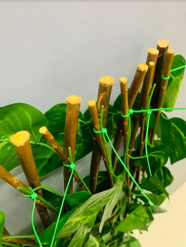 Malla Valla Cerca Planta Enredadera Artificial Hojas 120 Rej 3