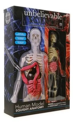 Modelo Anatómico Cuerpo Humano Esqueleto Science Squad 22 Cm 6