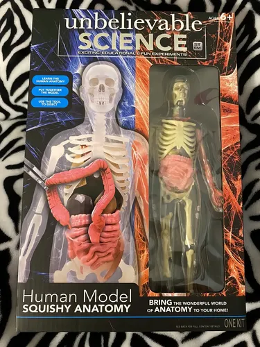 Modelo Anatómico Esqueleto Humano 22 Cm Science Squad Plástico Desmontable 3