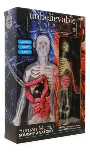 Modelo Anatómico Cuerpo Humano Esqueleto Science Squad 22 Cm