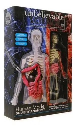 [MLC1548224831] Modelo Anatómico Esqueleto Humano 22 Cm Science Squad Plástico Desmontable